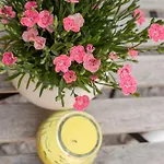 Under The Rock-Jacuzzi-400Y Stone House