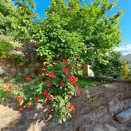 Apartment Under The Rock In Osp Osp