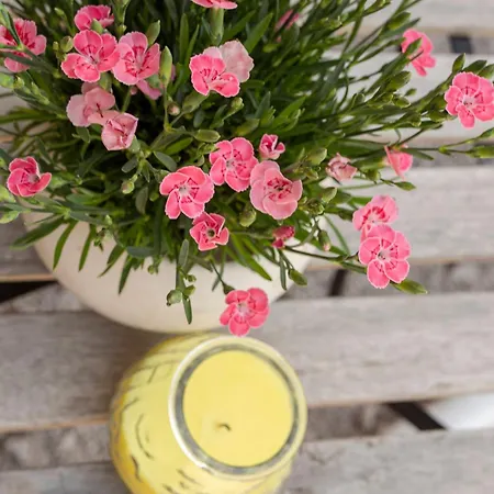 Apartment Under The Rock In Osp