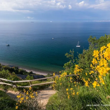 Apartment Under The Rock In Osp *