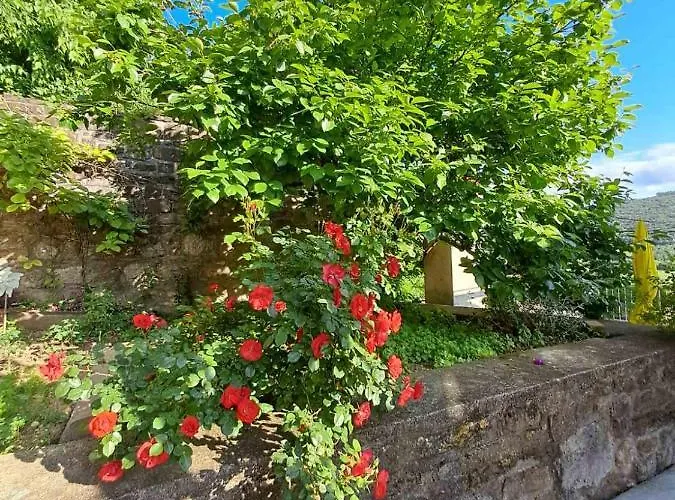 Under The Rock In Osp