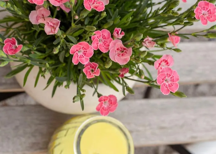 Apartment Under The Rock In Osp