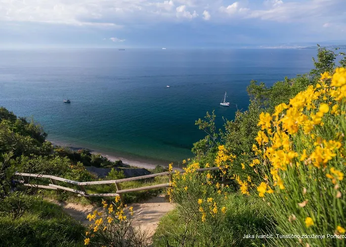 Apartment Under The Rock In Osp *